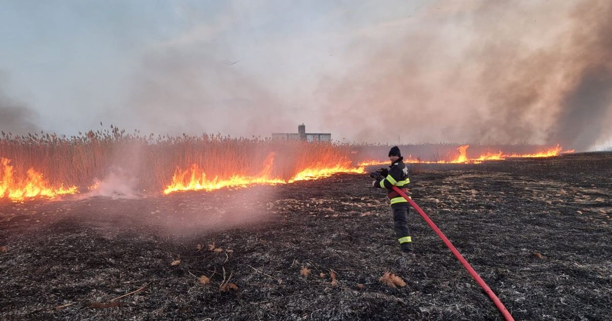 Incendiu devastator în Brăila: peste 150 de hectare de culturi distruse între Muchea și Siliștea